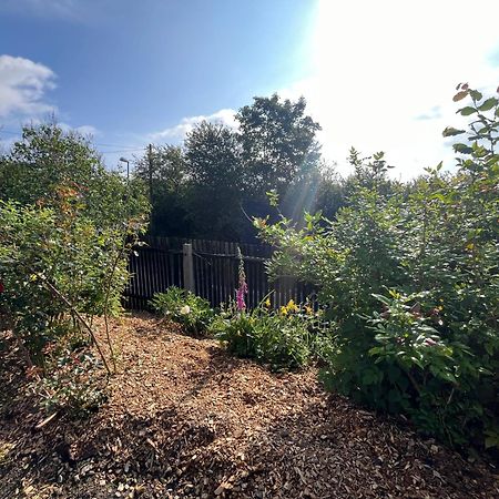Tolles Ferienhaus Frohnatur Mit Sauna In Ruhiger Lage Plauen Exteriör bild